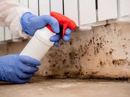 Best Residential Mold Inspection & Testing  in Jerseyvle, IL